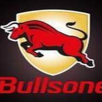 Bullsone 17